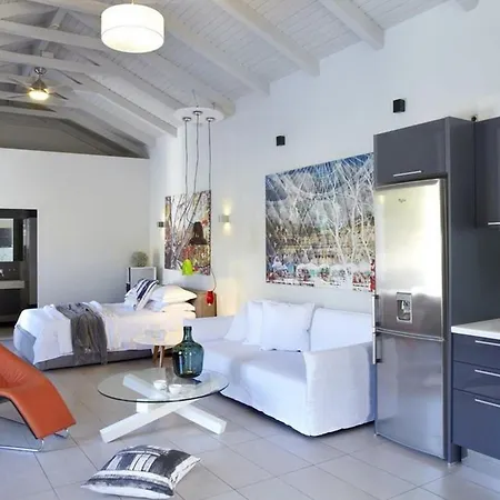 Bhv Villa Art 1 Bedroom Assos Erisos Kefalonia Vila *
